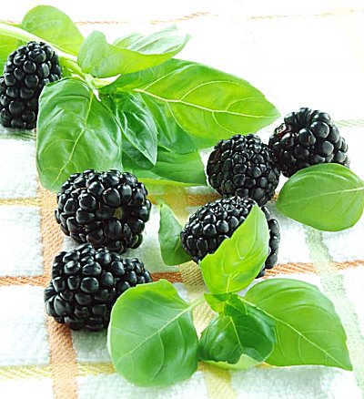 Blackberry & Basil Parfümöl